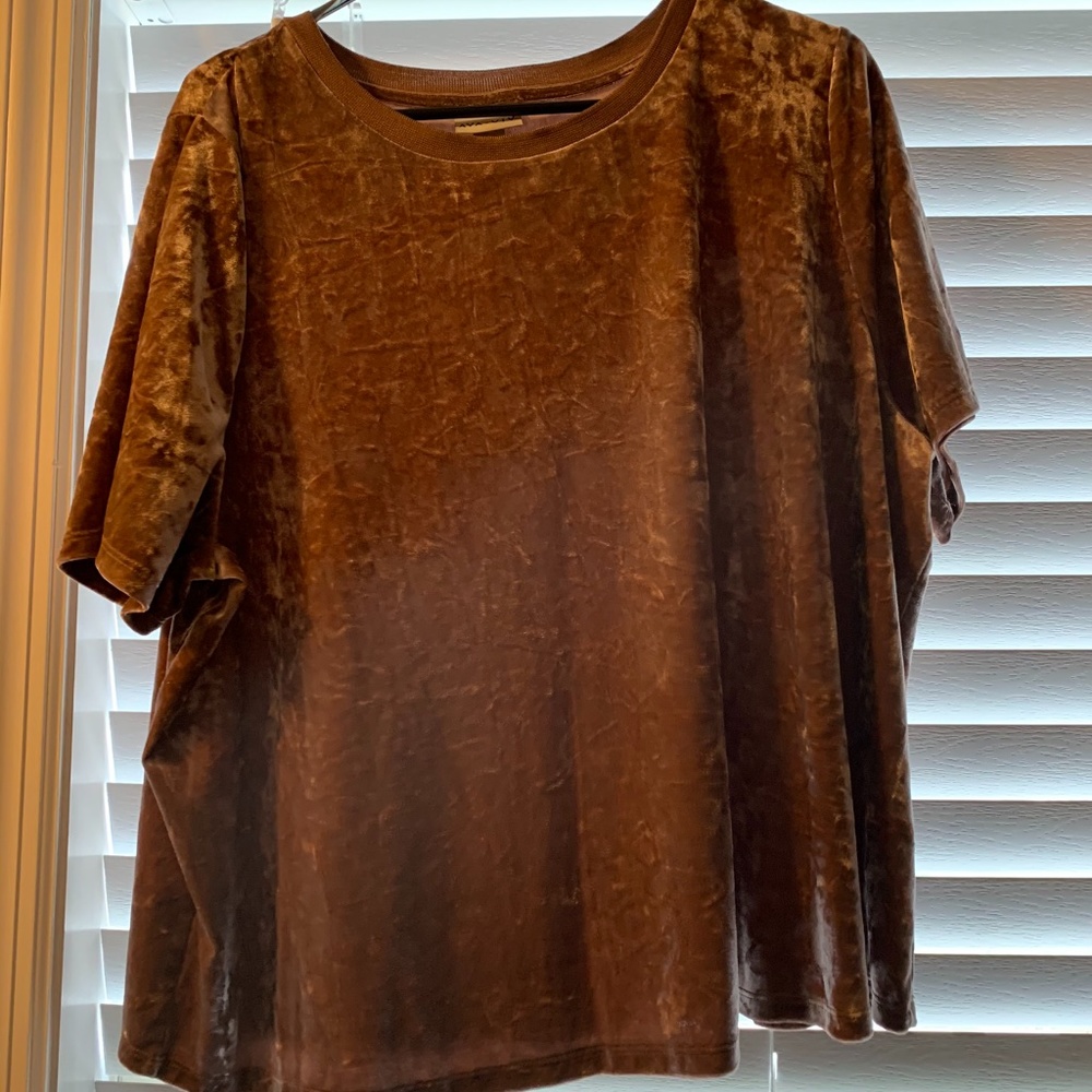 Crushed Velvet Blouse
